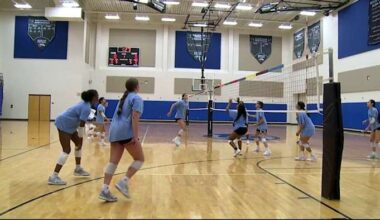 Behind Harlan volleyball’s success as Hawks target third-straight district title