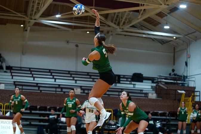 Williams, McDonough Lead Dolphins To Friday Sweep Over Bulldogs