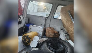 Restaurant Employee Looks In Abandoned Van And Finds Someone Trapped Inside