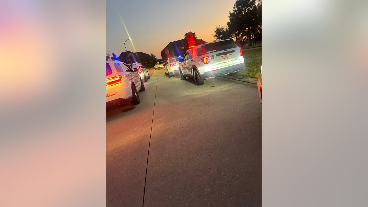 1 dead, 2 injured after large fight breaks out in west Harris County