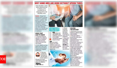 Parel institute finds gene linked to rare male infertility disorder | Mumbai News