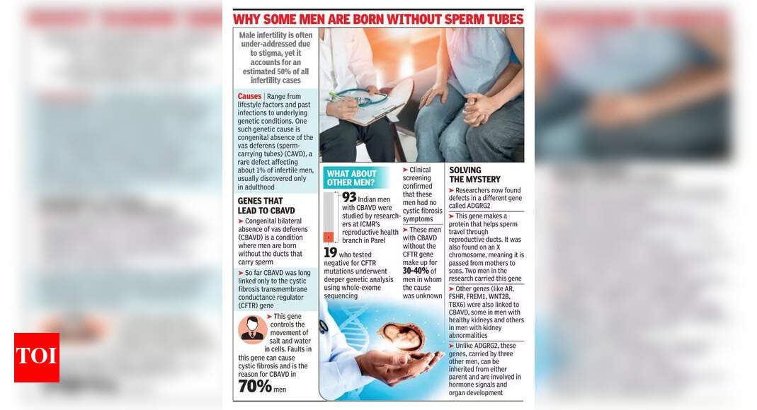 Parel institute finds gene linked to rare male infertility disorder | Mumbai News