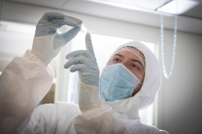 A new study reveals how complex Mastodon evolution