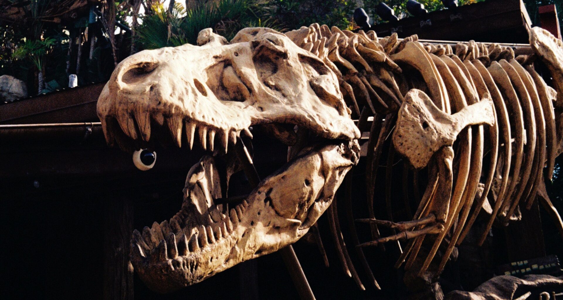 Want to hear dinosaurs 'sing'? These instruments bring prehistory back to life