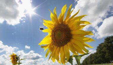 These PA cities have some of the poorest quality of life, according to a new study