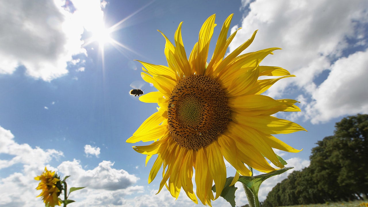 These PA cities have some of the poorest quality of life, according to a new study