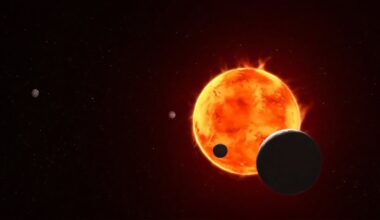 The exoplanet TRAPPIST-1 e takes its turn in the JWST's spotlight