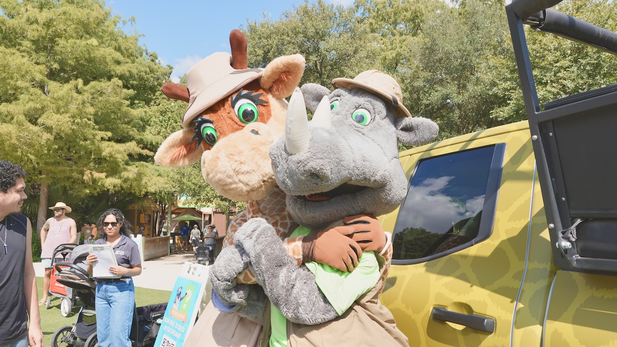 San Antonio Zoo unveils new mascot, Savanna the Giraffe