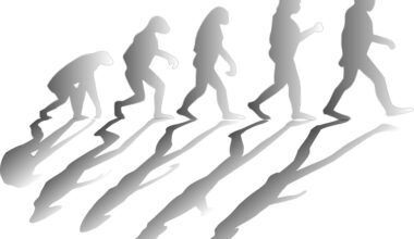 Culture is overtaking genetics in shaping human evolution, researchers argue