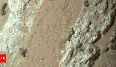 Life on Mars: NASA rover discovers strongest sign of life on Mars to date; all you need to know |
