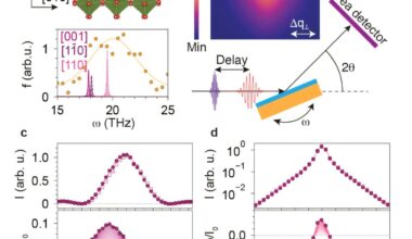 Ultrafast infrared light pulses trigger rapid 'breathing' in thin film