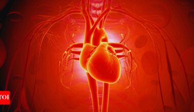 Not red meat, not butter: These 5 everyday habits may be causing heart attacks