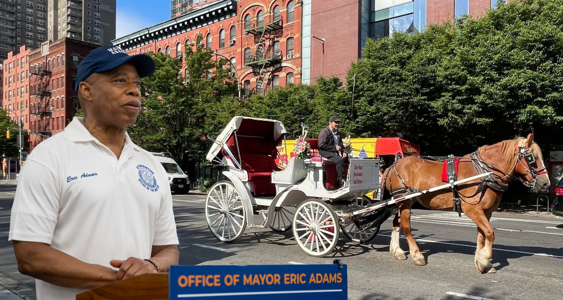 Adams Calls for Ban on Horse-Drawn Carriages After Deaths of Ryder and Lady