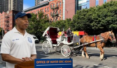 Adams Calls for Ban on Horse-Drawn Carriages After Deaths of Ryder and Lady