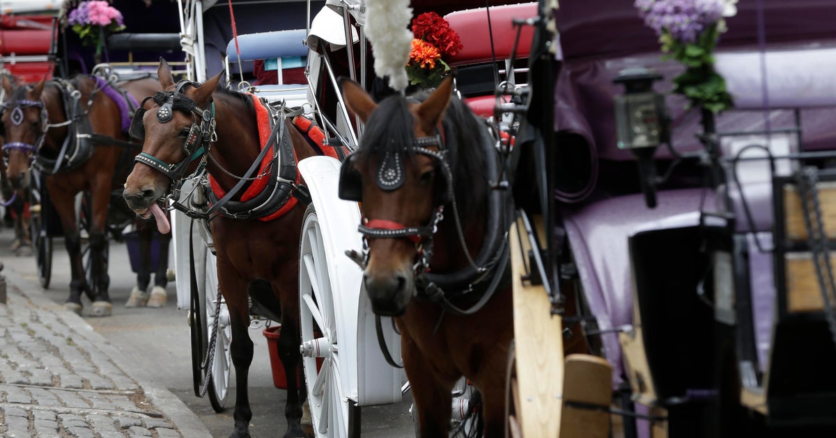 NYC Mayor Eric Adams calls for carriage horse ban