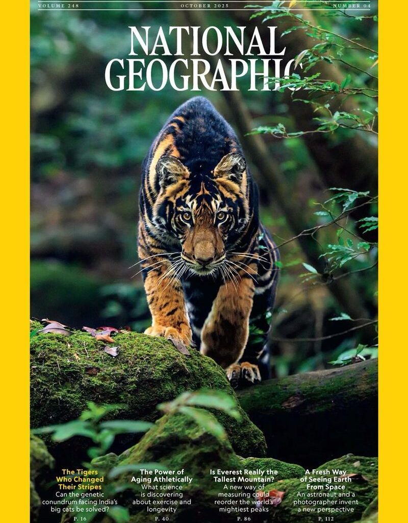 Indian photographer's rare black tiger shot graces National Geographic cover