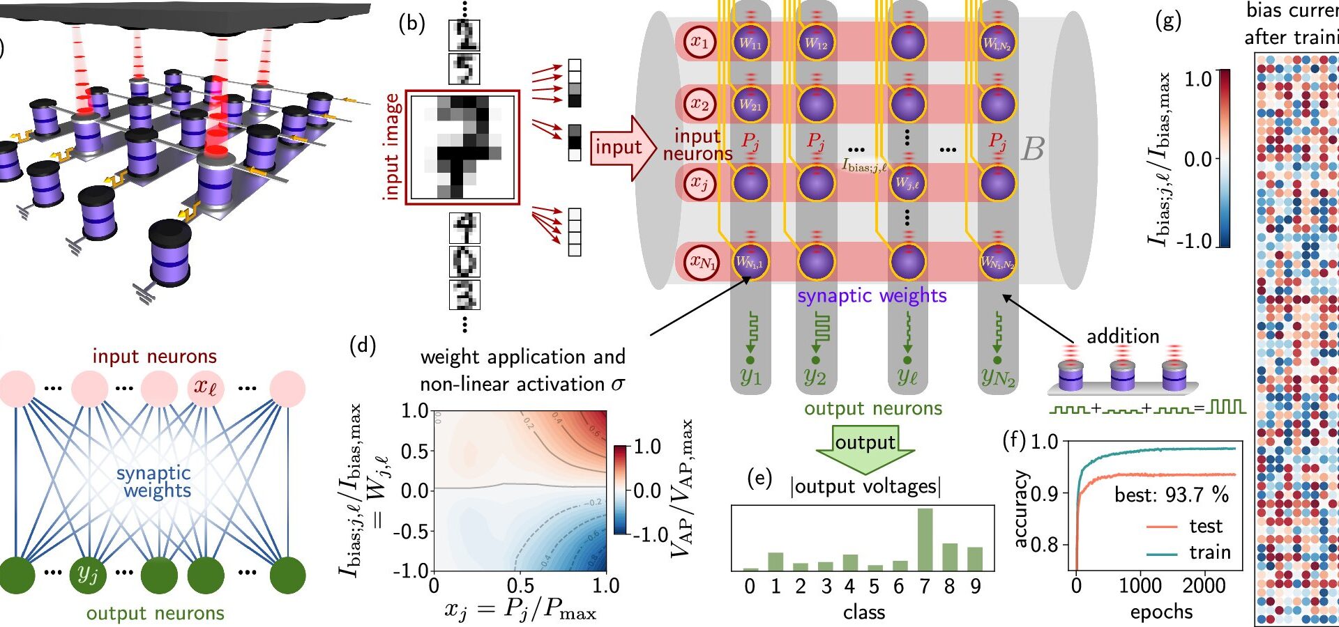 Magnetic tunnel junctions mimic synapse behavior for energy-efficient neuromorphic computing