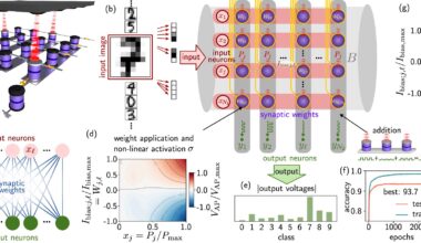 Magnetic tunnel junctions mimic synapse behavior for energy-efficient neuromorphic computing