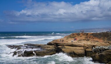 California, San Diego lean in to nature-based coastal protections – San Diego Union-Tribune