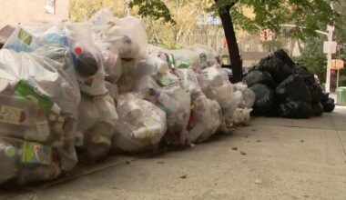 Eligible homeowners could get rebates for their NYC Bin: Do you qualify?