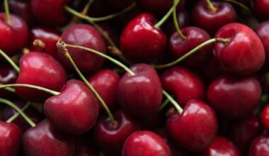 Sun World teams up with Pairwise to develop pitless cherries | News