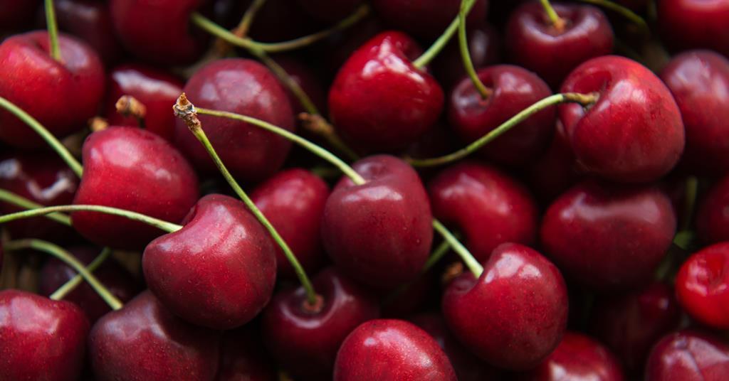 Sun World teams up with Pairwise to develop pitless cherries | News