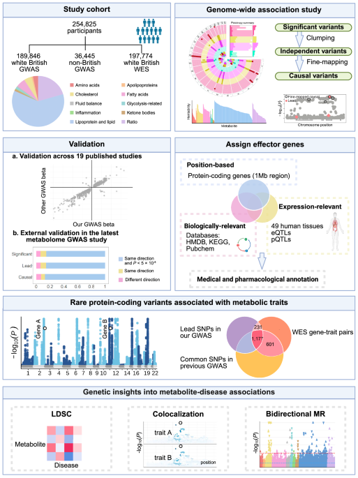 Genetic architecture of plasma metabolome in 254,825 individuals