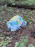 Mushroom Forager Finds Towel In The Woods — And Someone Trapped Underneath