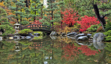 HGTV just named the most beautiful garden in Illinois—and you probably won’t guess it