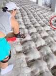 Rollerbladers Stop On A Dime To Help A Ball Of Feathers Dumped Under A Bridge