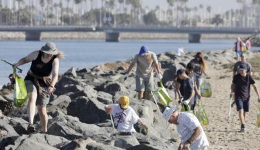 Saturday's Coastal Cleanup Day sweeps plastics from the shore