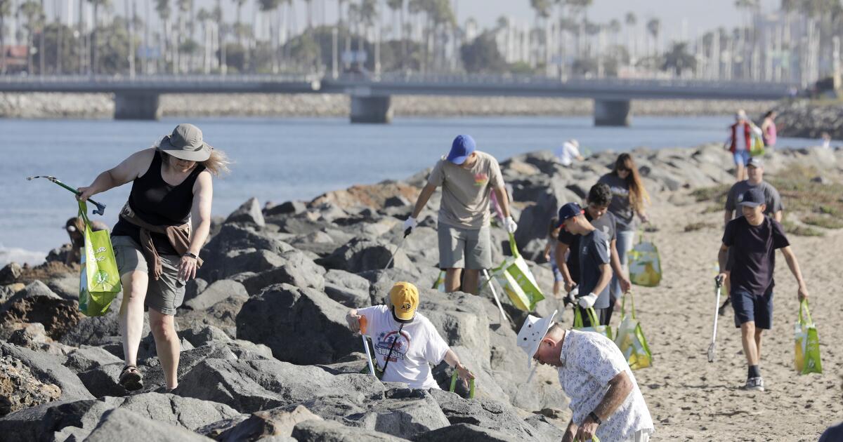 Saturday's Coastal Cleanup Day sweeps plastics from the shore