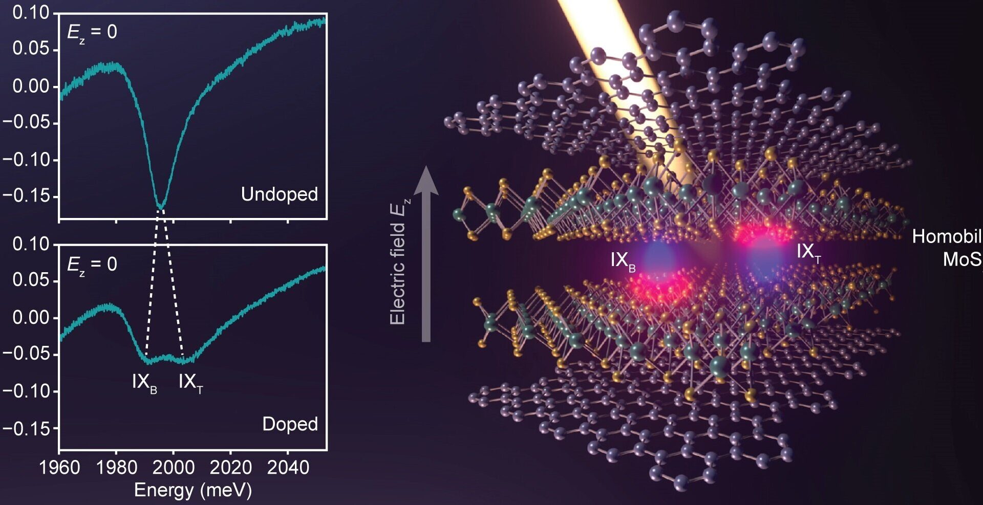 Hybridization of interlayer excitons in bilayer semiconductor hints at many-body state