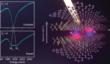 Hybridization of interlayer excitons in bilayer semiconductor hints at many-body state