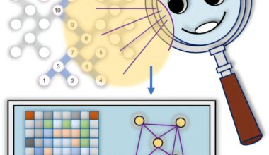 A scalable and accurate tool to characterize entanglement in quantum processors