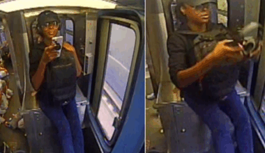 Chicago police seek woman in Irving Park attack