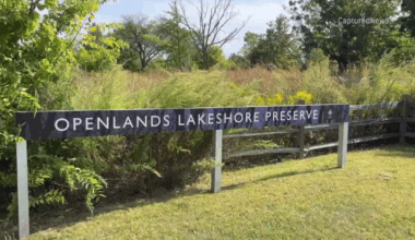 Piece of military material found in wooded area at old Fort Sheridan north of Chicago