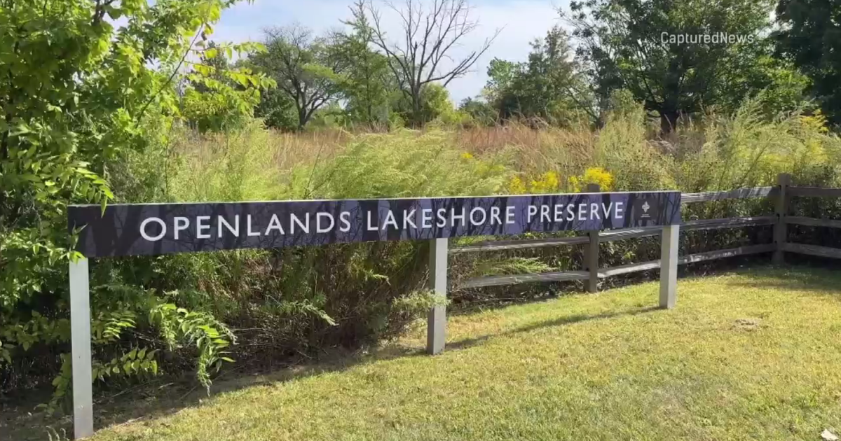 Piece of military material found in wooded area at old Fort Sheridan north of Chicago