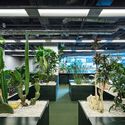 KOKUYO DIG / DDAA + KOKUYO - Interior Photography