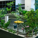 KOKUYO DIG / DDAA + KOKUYO - Exterior Photography, Garden, Courtyard