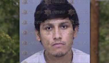 Suspect linked by DNA in violent Phoenix assault case