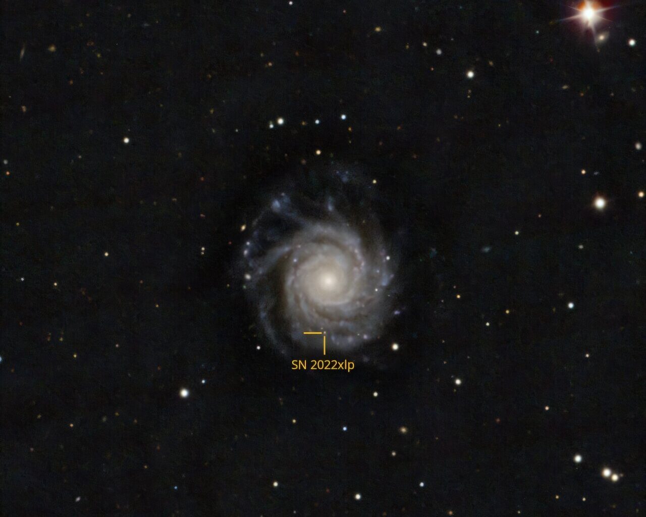 Observations explore a rare type Iax supernova
