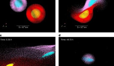Collision between two bodies of similar mass may explain the formation of Mercury