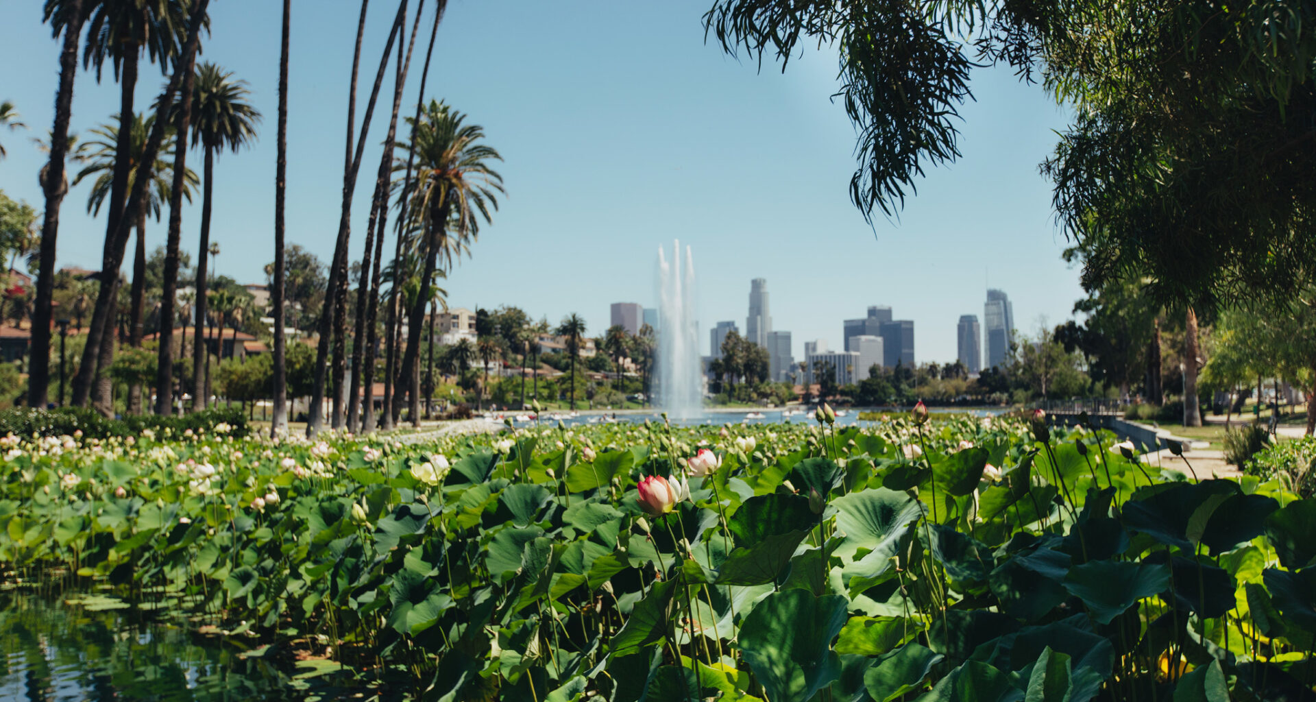 Take Time Out’s survey on city life in L.A.—and you could win a $500 Amazon gift card