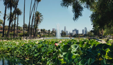 Take Time Out’s survey on city life in L.A.—and you could win a $500 Amazon gift card