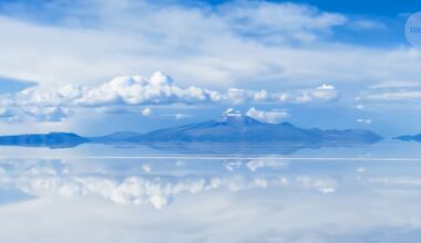 Solving the mystery of whether a Bolivian salt flat is the world's largest natural mirror