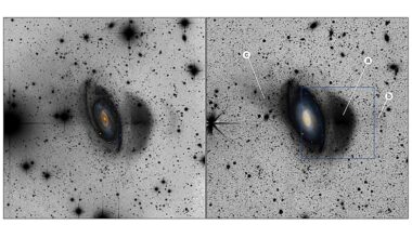 Observations investigate a compact stellar system around nearby galaxy