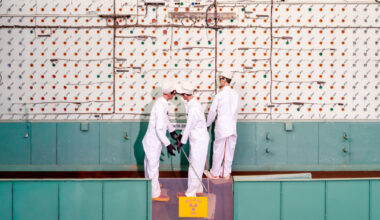 alastair philip wiper documents oak ridge national laboratory in US