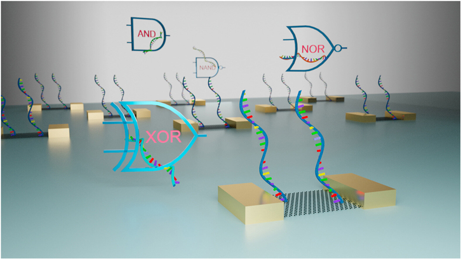 Biomolecular computing shows potential for next-generation integrated circuits