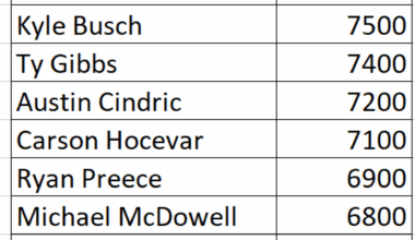 DraftKings Kansas #2 2025 NASCAR Driver Prices